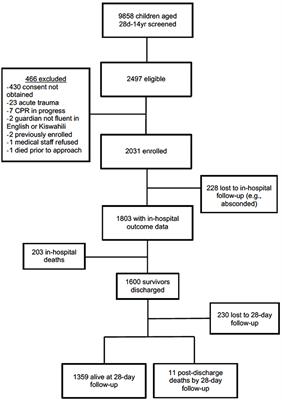 Functional Outcomes and Morbidity in Pediatric Sepsis Survivors: A Tanzanian Experience